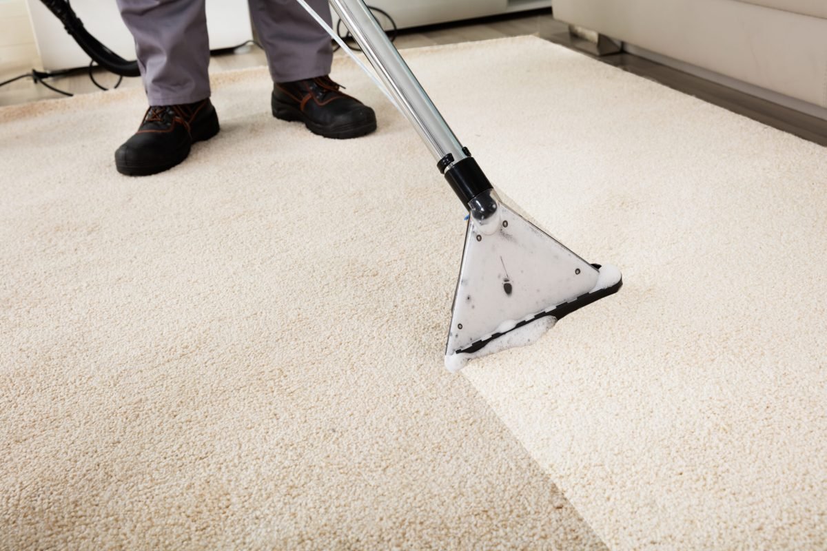 Carpet Steam Cleaning